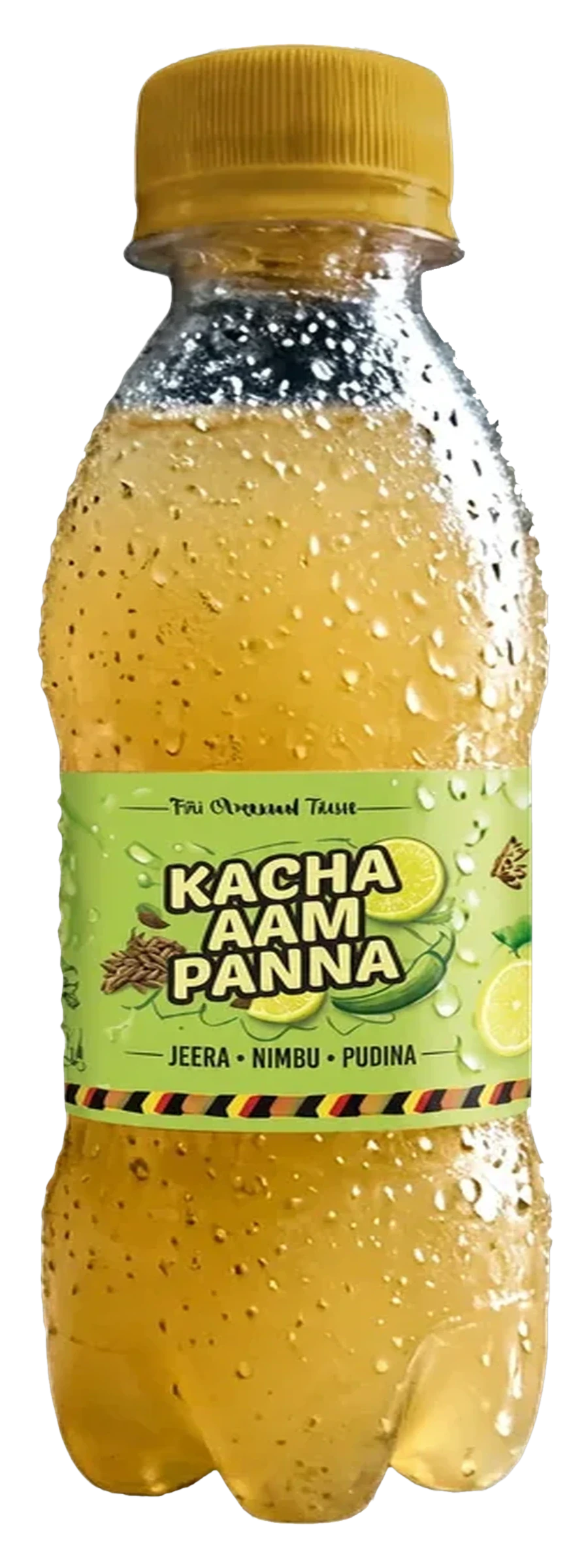 Kacha Aam Panna 160ml bottle